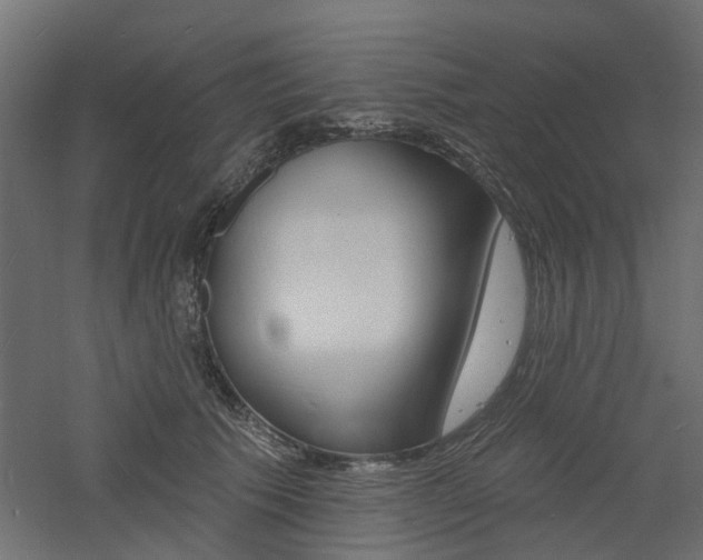 X0000060740609200511100913