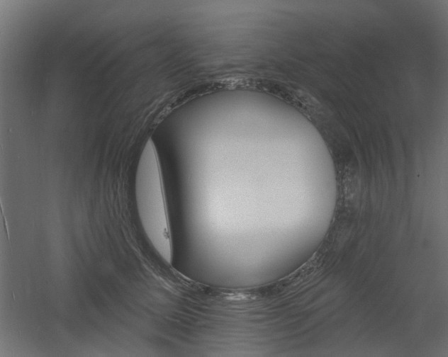 X0000060740611200511100913