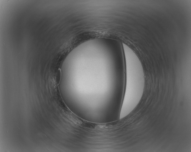 X0000060740613200511100913