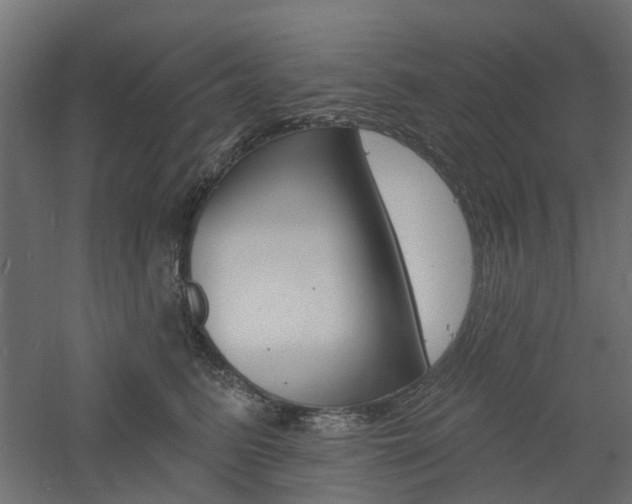 X0000060740615200511100913