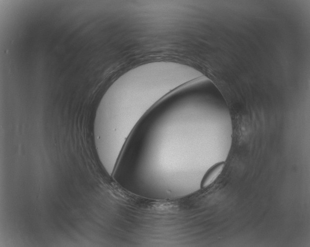X0000060740619200511100913