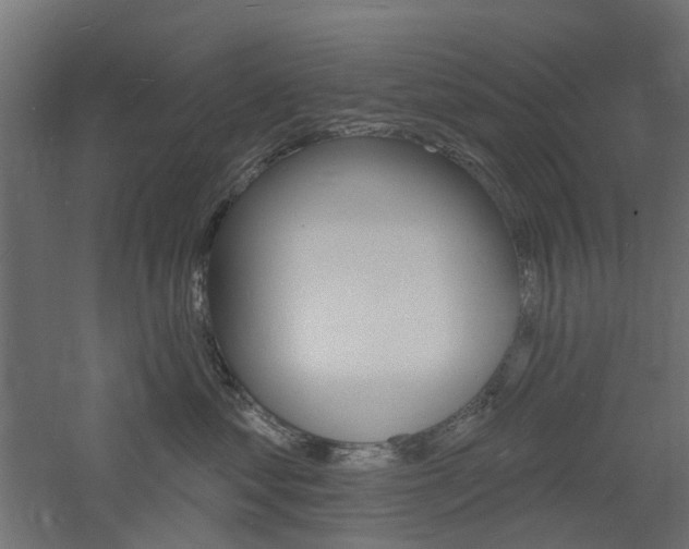 X0000060740621200511100913
