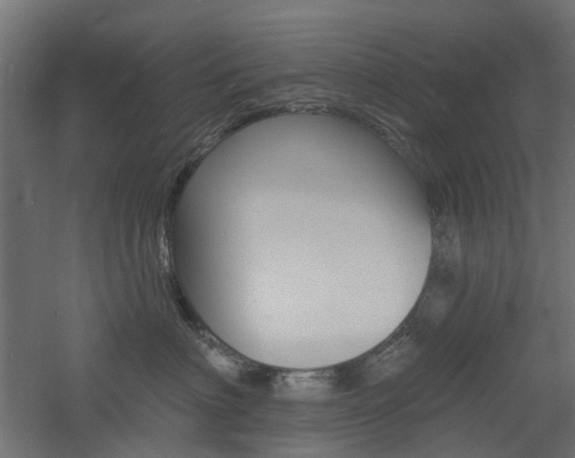 X0000060740622200511100913