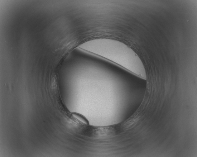 X0000060740623200511100913