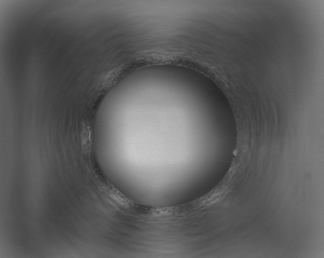 X0000060740624200511100913