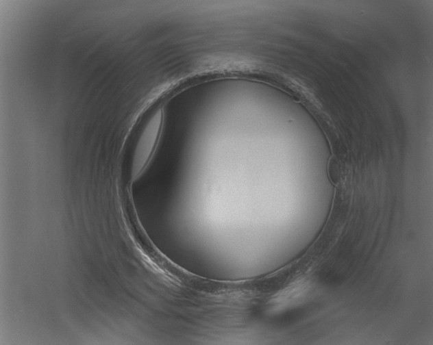 X0000060740629200511100912