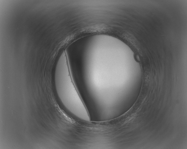 X0000060740633200511100912