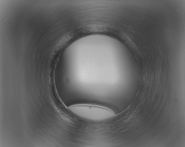 X0000060740635200511100912