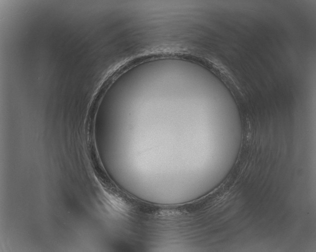 X0000060740636200511100913