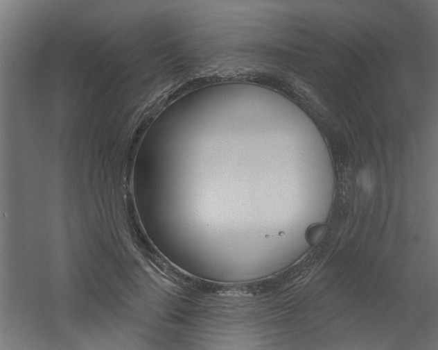 X0000060740644200511100913