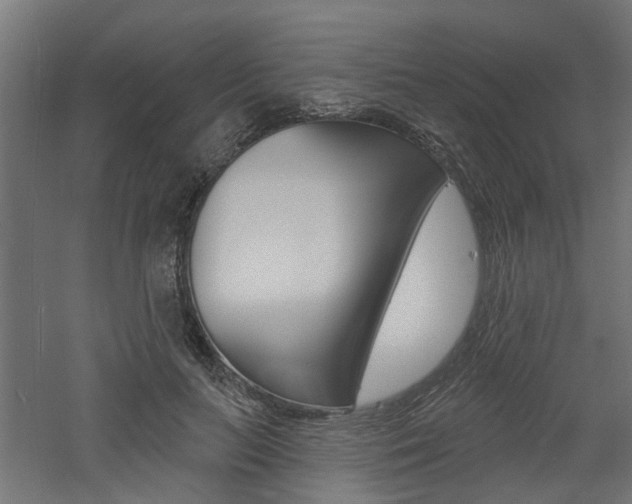 X0000060740647200511100913