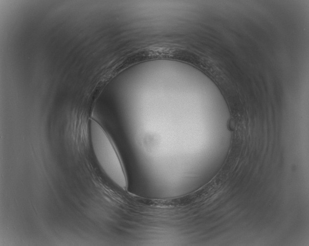 X0000060740649200511100913