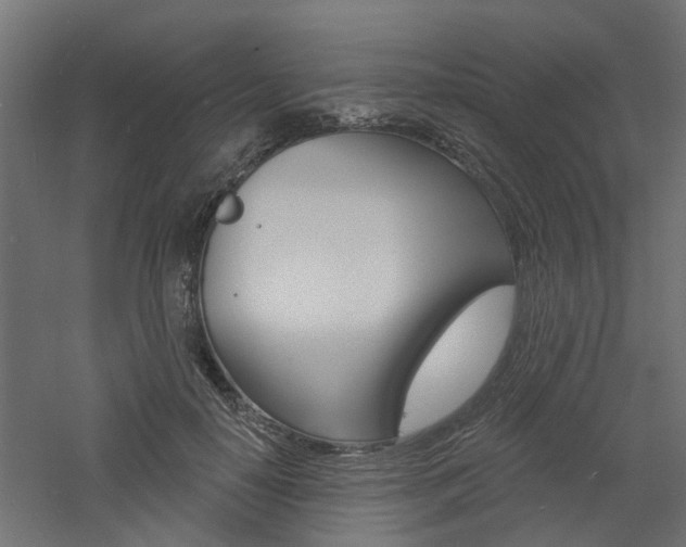 X0000060740650200511100913