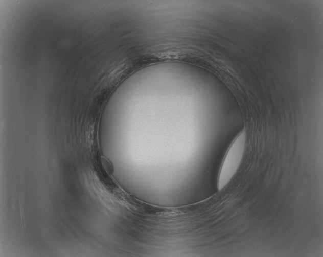 X0000060740652200511100913