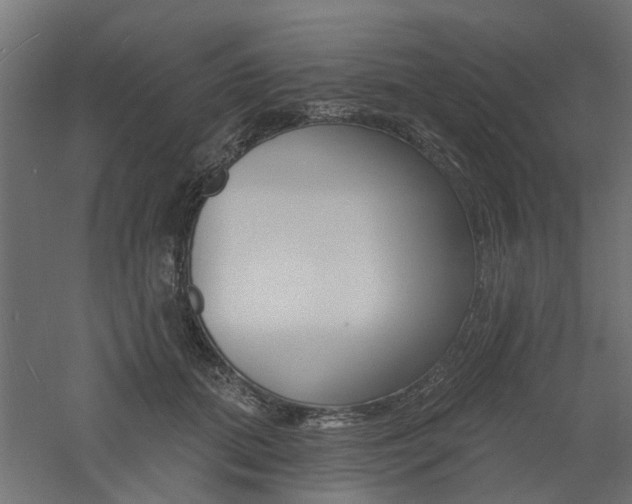 X0000060740655200511100913