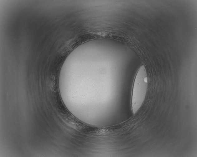 X0000060740656200511100913