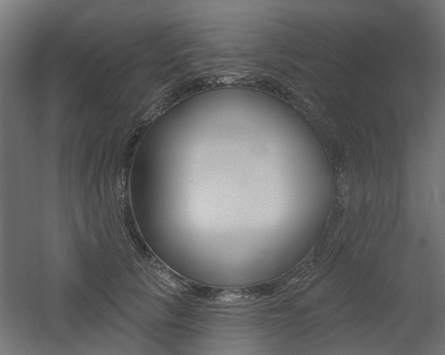 X0000060740657200511100913