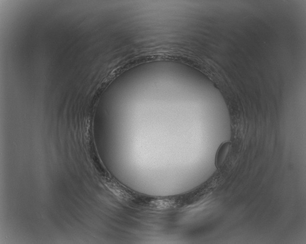 X0000060740660200511100913