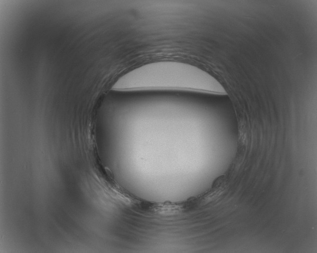 X0000060740670200511100913