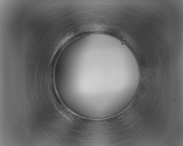 X0000060740679200511100912