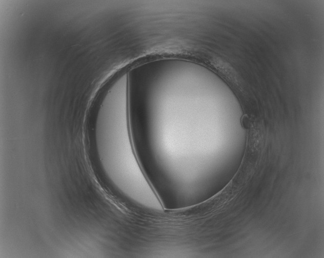 X0000060740680200511100912