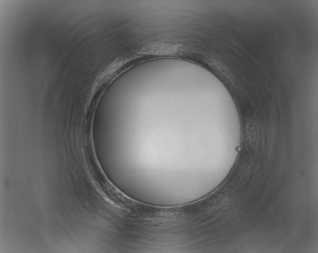 X0000060740682200511100912