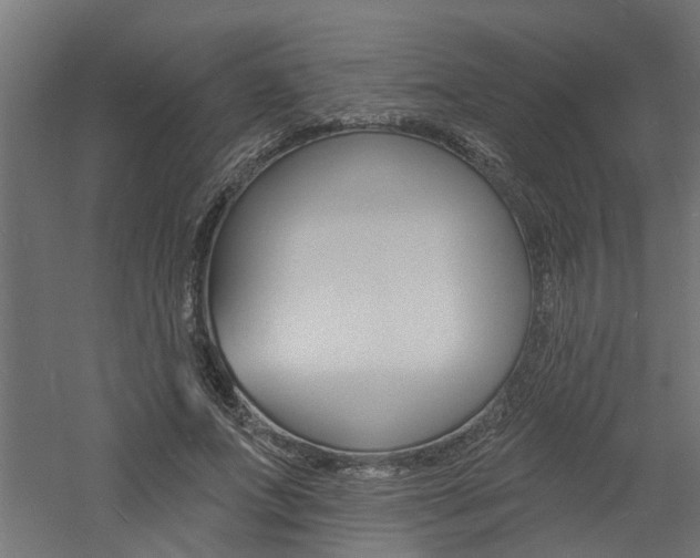 X0000060740687200511100912