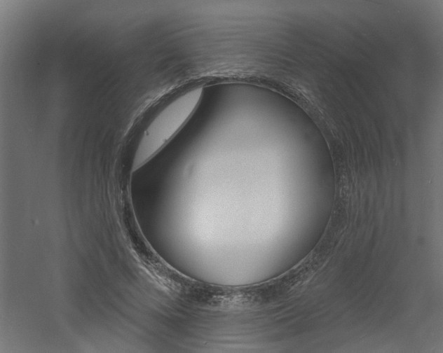 X0000060740688200511100912
