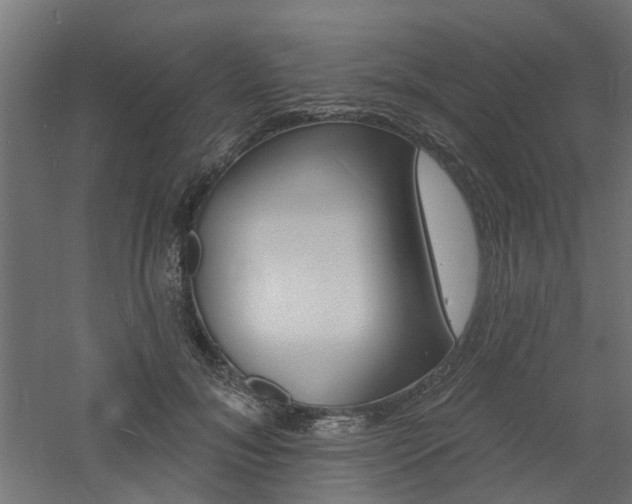 X0000060740700200511100912