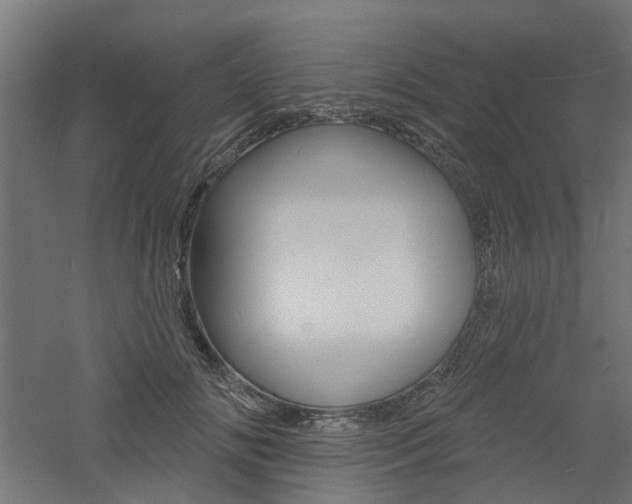 X0000060740702200511100912