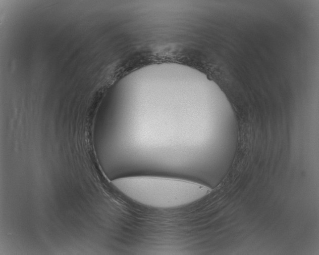 X0000060740706200511100912