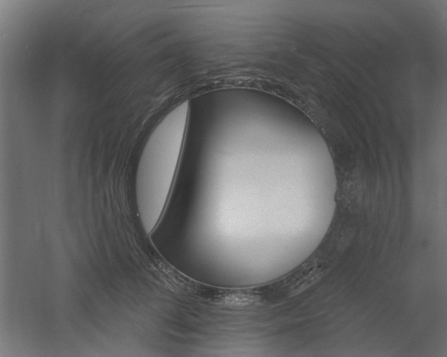 X0000060740708200511100912
