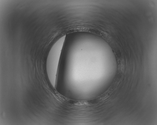 X0000060740712200511100912
