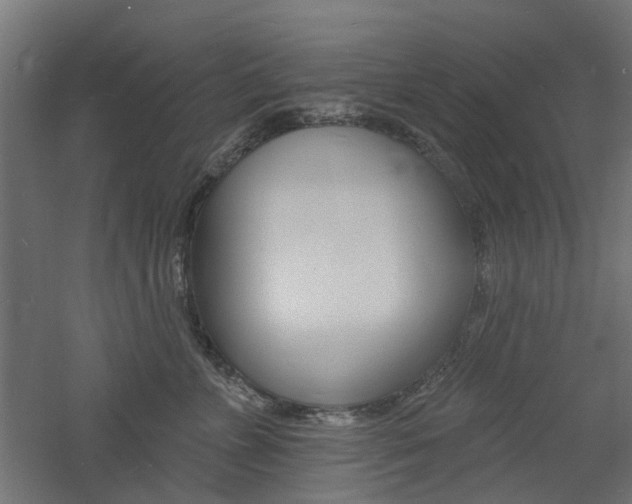 X0000060740715200511100912