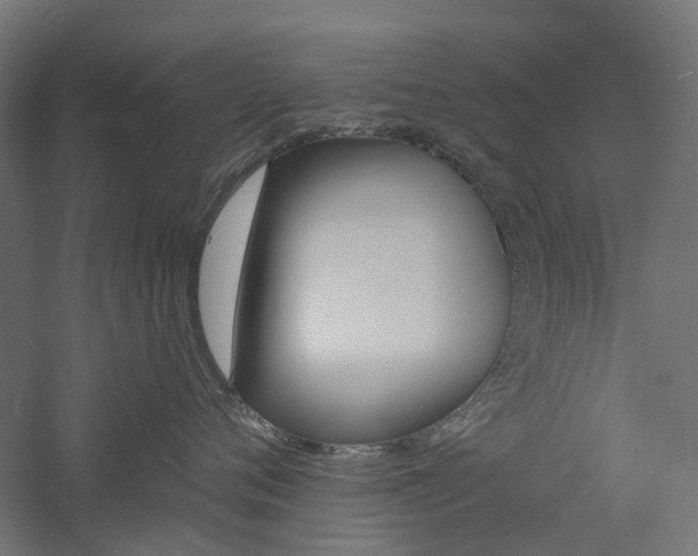 X0000060740720200511100912