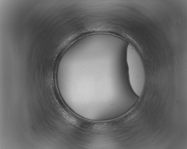 X0000060740725200511100911