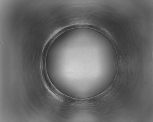 X0000060740726200511100911