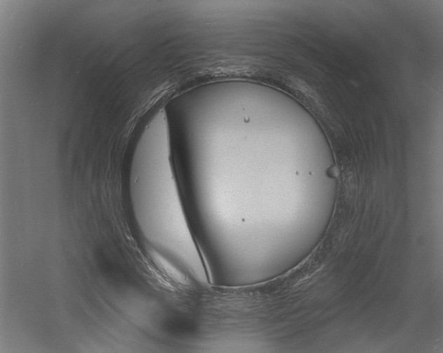 X0000060740729200511100911