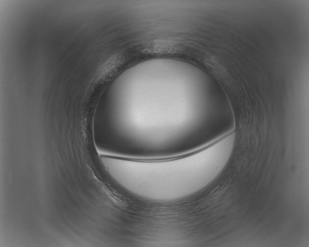 X0000060740735200511100911