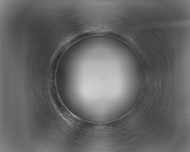 X0000060740736200511100911