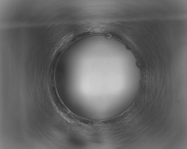 X0000060740738200511100911