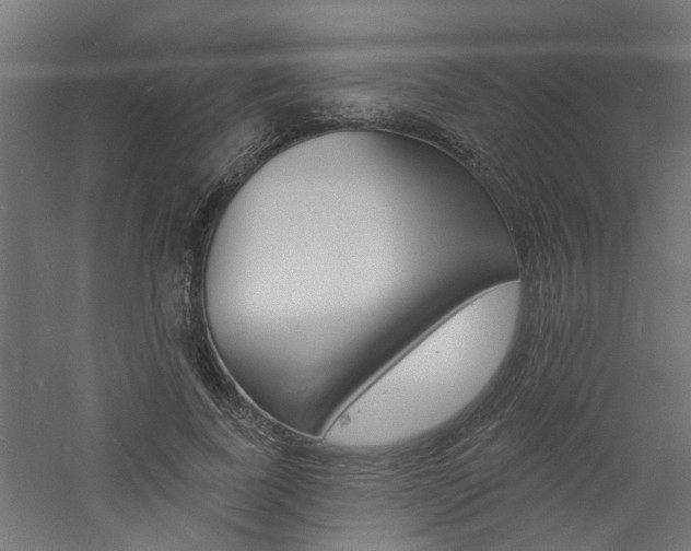 X0000060740739200511100911