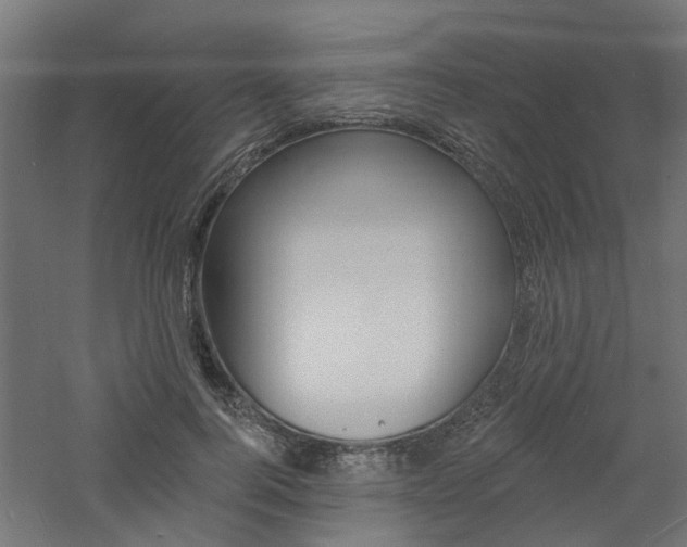 X0000060740744200511100911