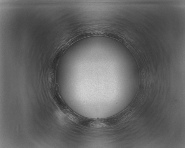 X0000060740747200511100911
