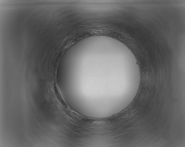 X0000060740749200511100911