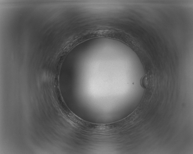 X0000060740750200511100911
