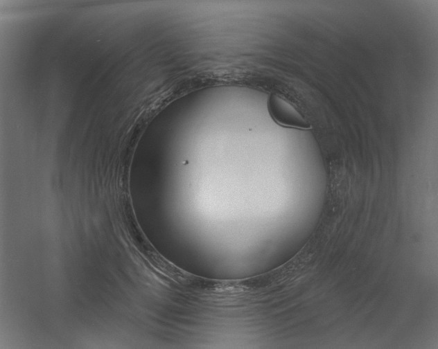 X0000060740752200511100911