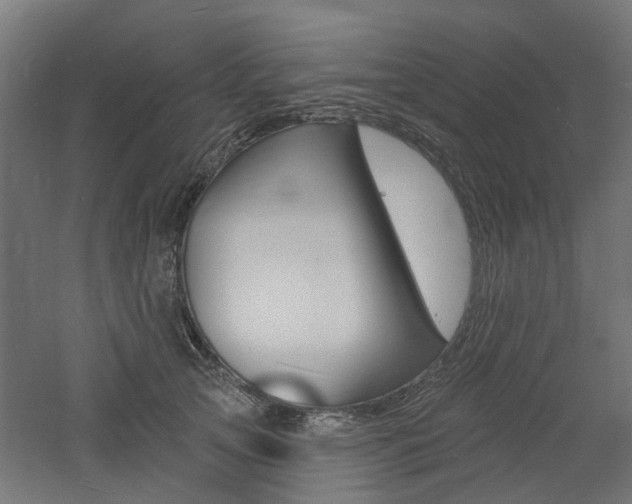 X0000060740753200511100911