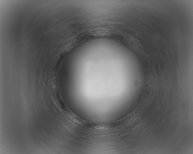 X0000060740755200511100911