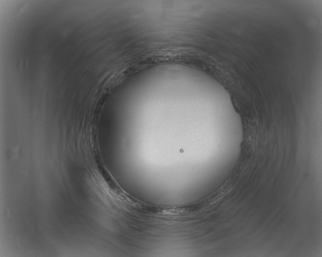 X0000060740758200511100911